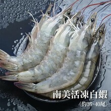 南美大白蝦